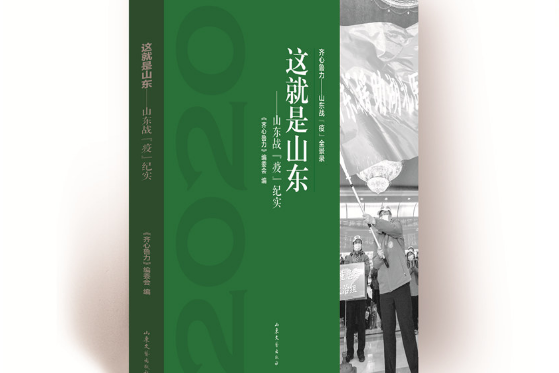 這就是山東(2020年山東文藝出版社出版的圖書)