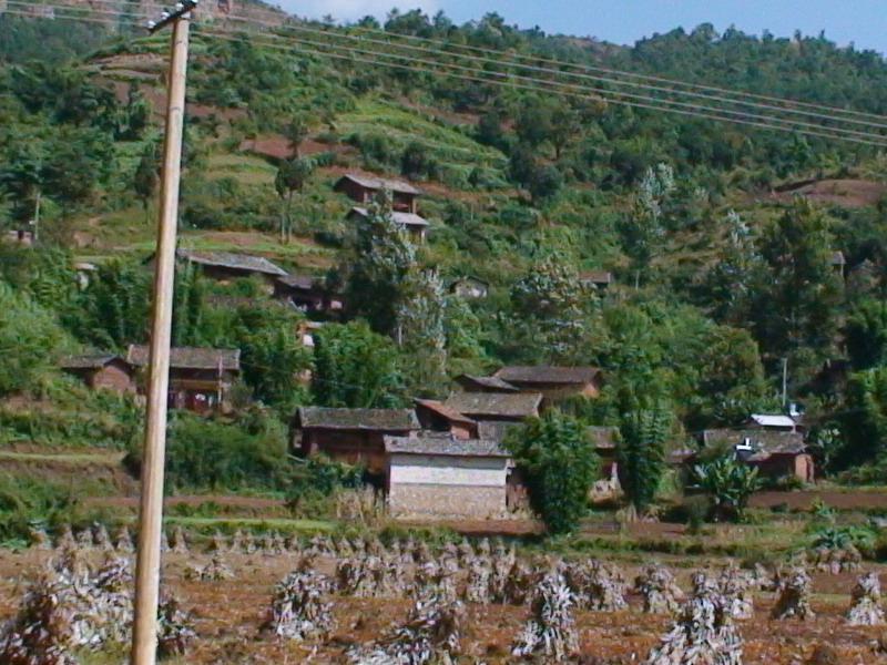 箐頭村(峨山縣甸中鎮西就村民委員會下轄村)