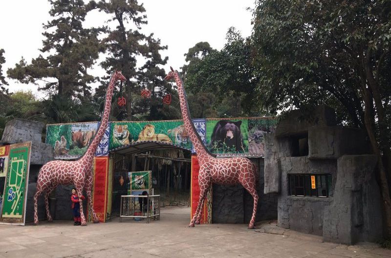 合肥逍遙津動物園