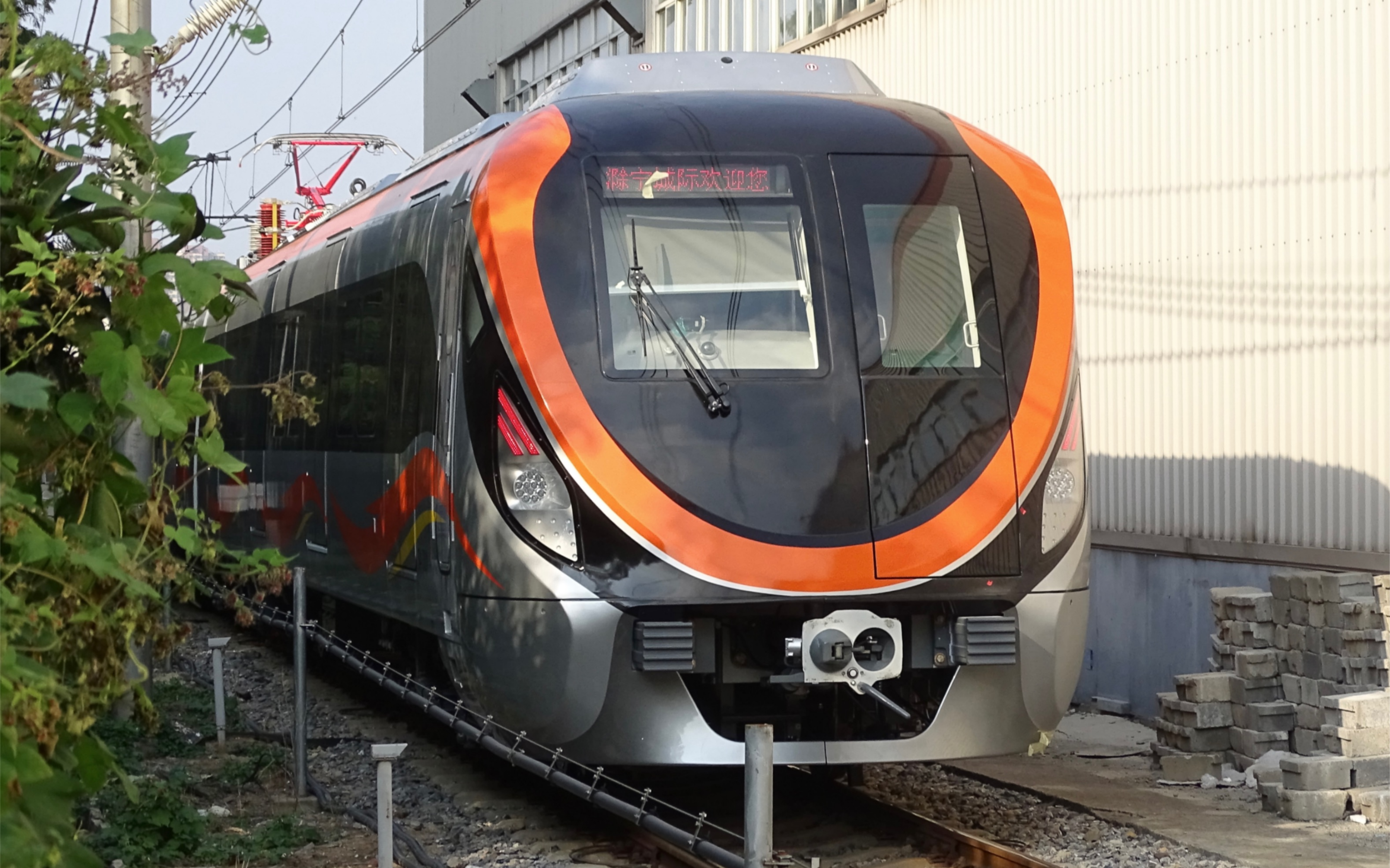 市域D型列車