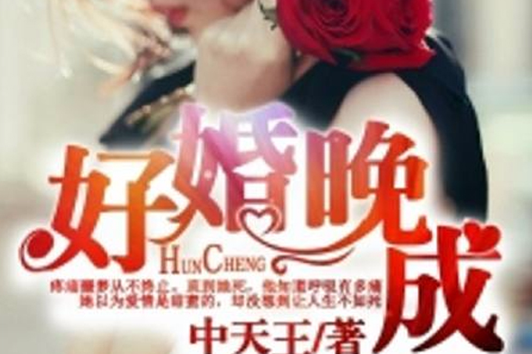 好婚晚成(中天王創作的網路小說)