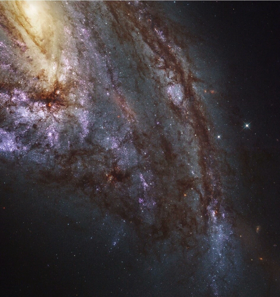 NGC 3627