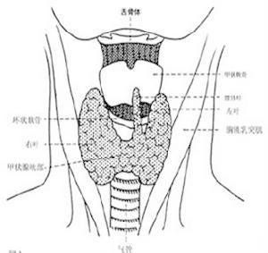 內分泌不孕(內分泌性不孕)