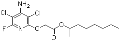 分子結構圖