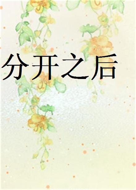 分開之後(網路小說)