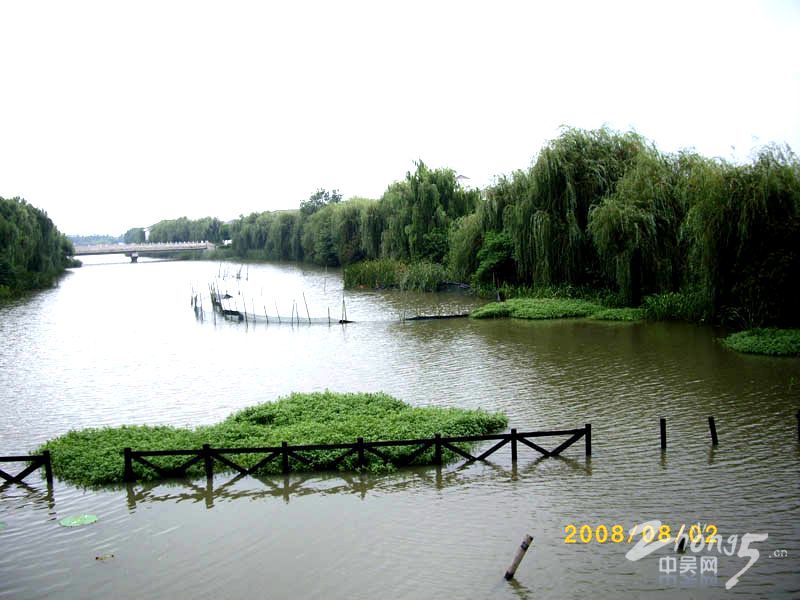 溱湖國家濕地公園實景