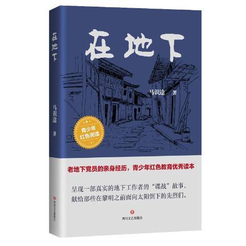 在地下(2019年四川文藝出版社出版的圖書)