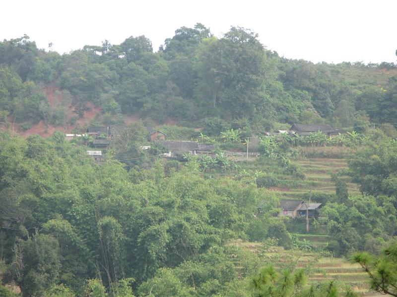 高山寨自然村