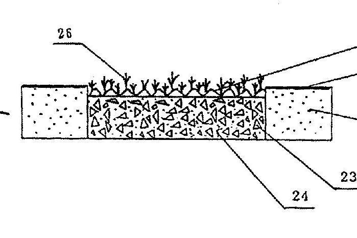 一種植物混凝土護砌板塊及其製作方法