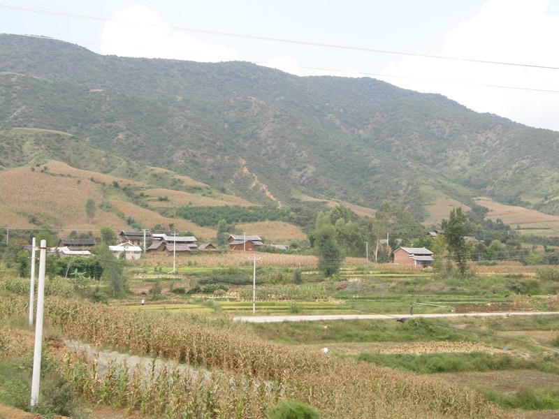 黑土坪村(雲南賓川縣雞足山鎮下轄村)