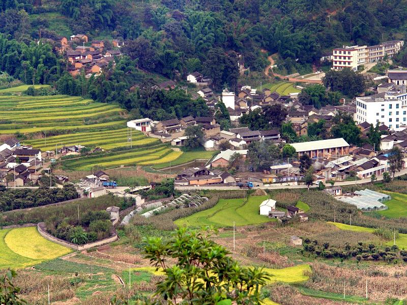 新窯村(雲南保山隆陽區瓦窯鎮下轄村)