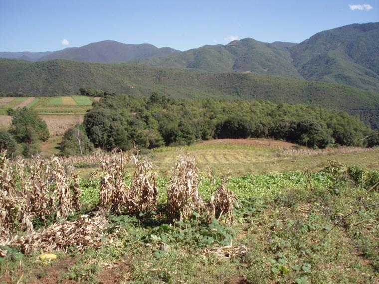 高山頂自然村