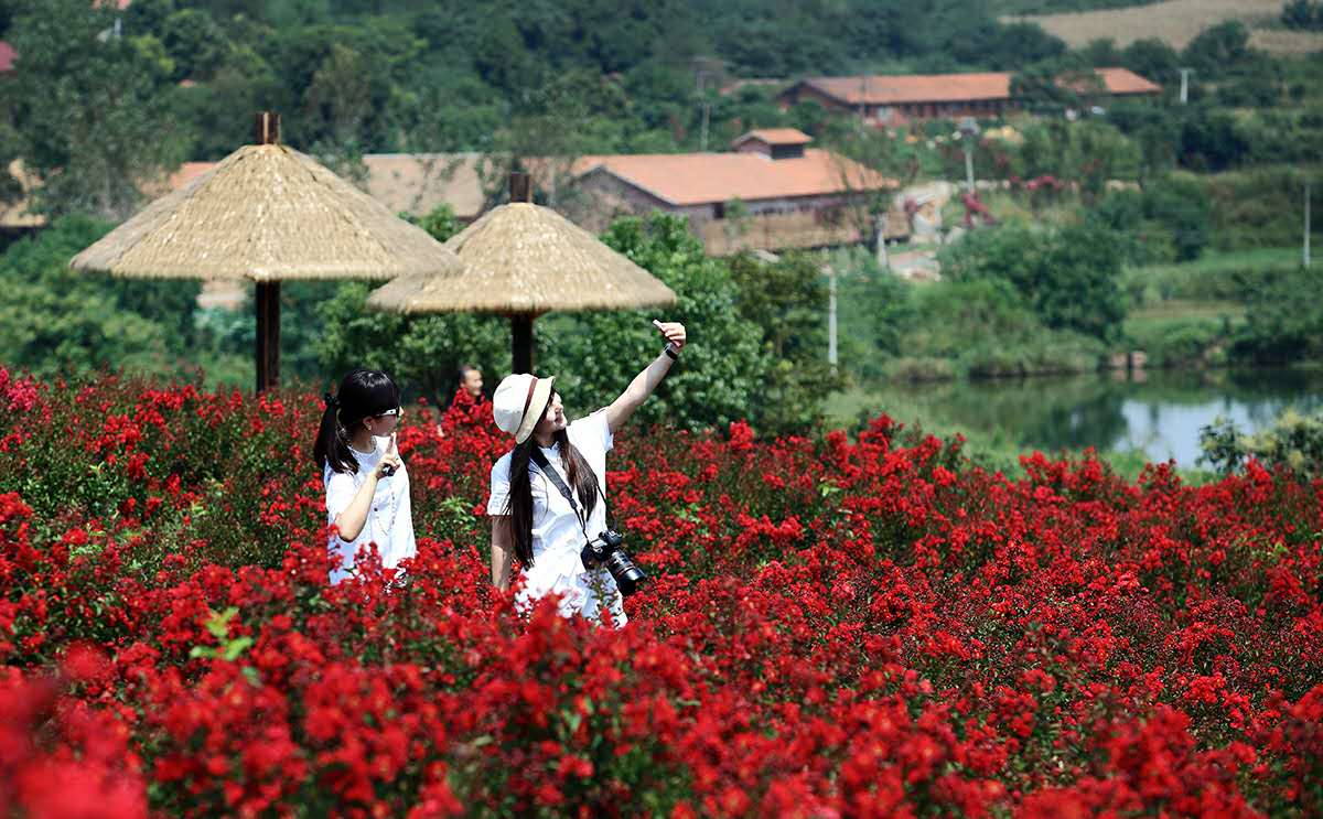 萬紫千紅植物園