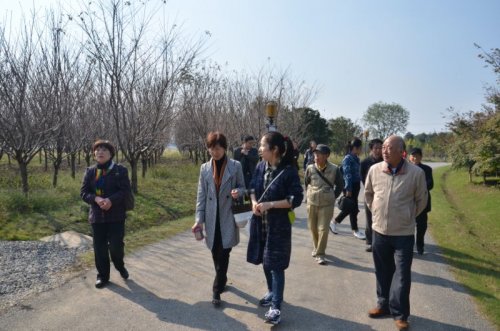 萬馬村(湖北省黃岡市黃梅縣大河鎮萬馬村)