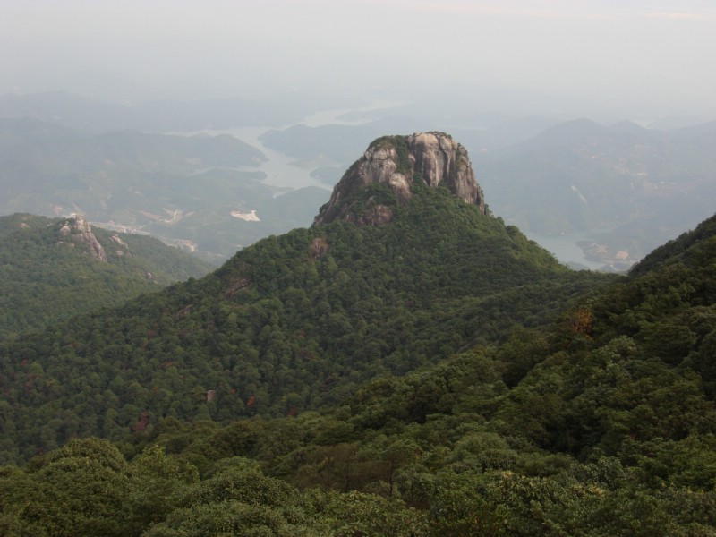 王壽山國家森林公園