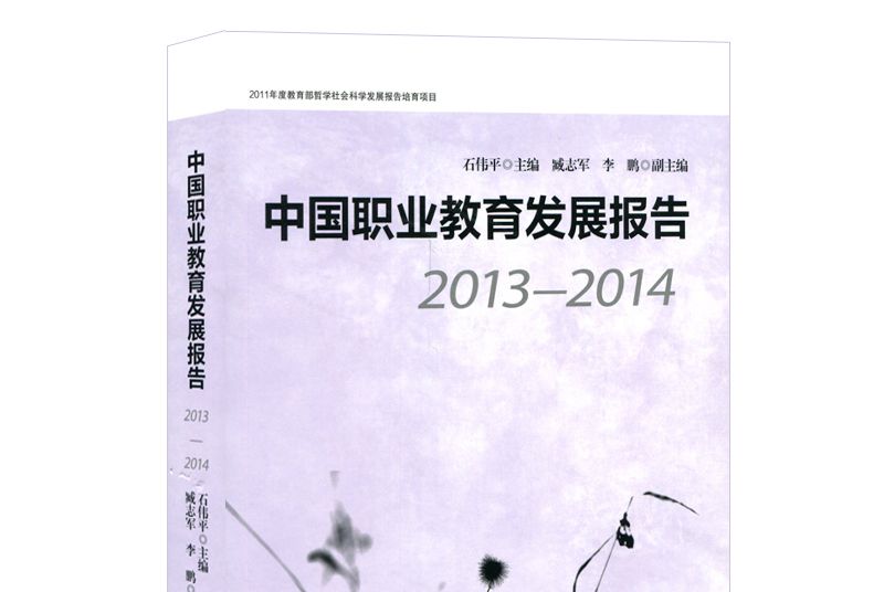 中國職業教育發展報告(2013—2014)