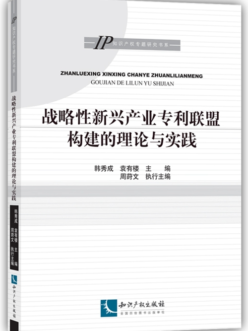 戰略性新興產業專利聯盟構建的理論與實踐