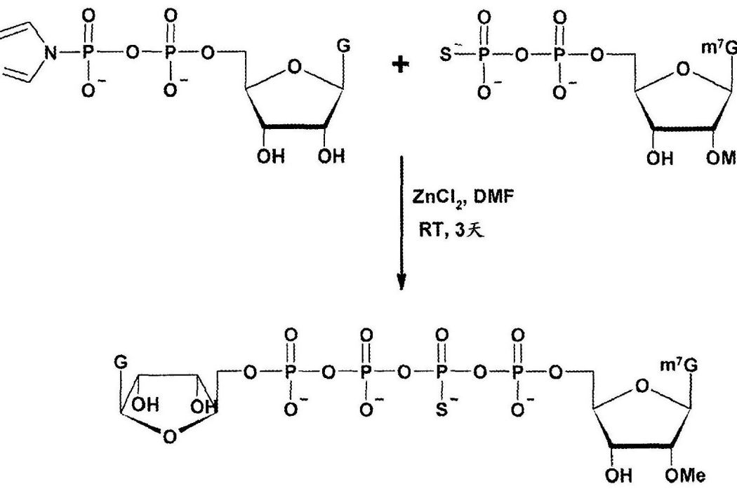 信使RNA帽的抗-反向硫代磷酸類似物的合成和用途