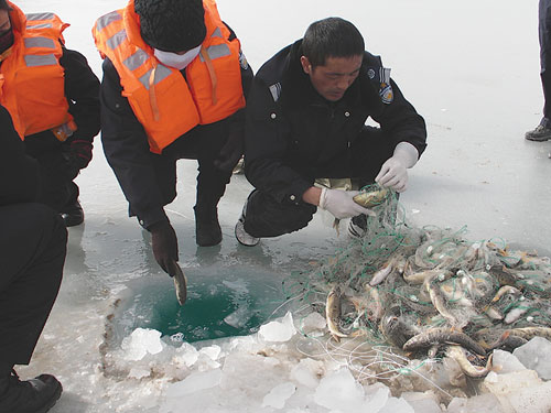 青海湖湟魚巡護隊