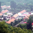 大龍門村(山東省萊蕪市鋼城區艾山街道大龍門村)