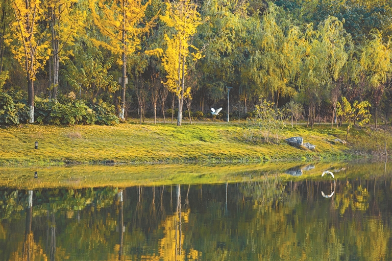 德溪濕地公園