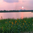 徐州市潘安湖濕地公園