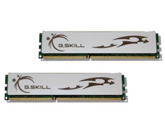 芝奇4GB DDR3 1600(F3-12800CL8D-4GBECO)