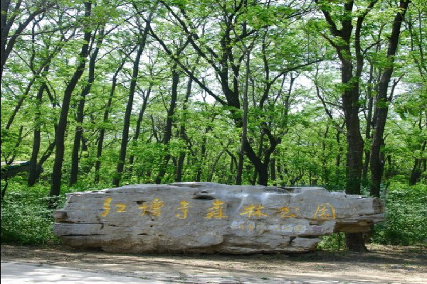 紅壇寺森林公園