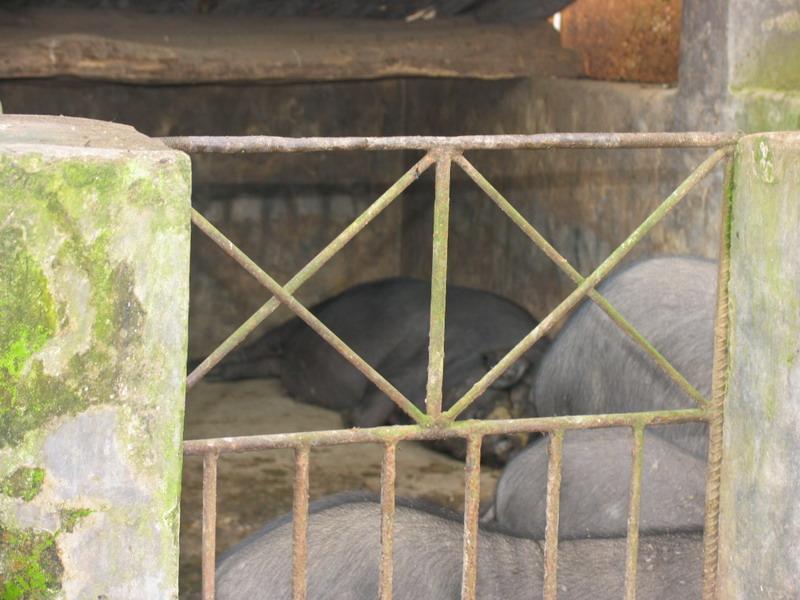 養殖業