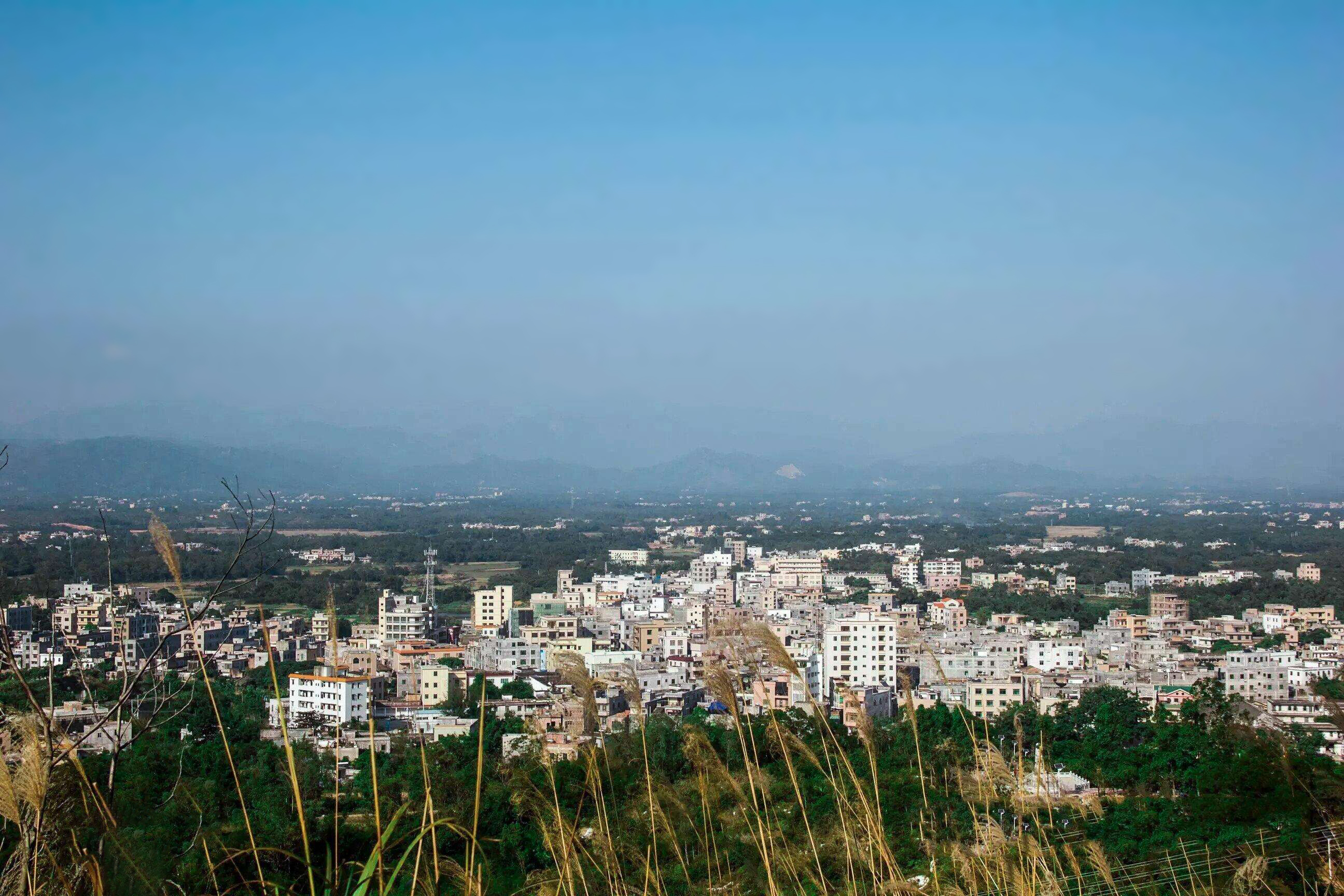 馬踏鎮(廣東省茂名市電白區馬踏鎮)