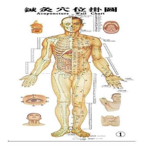 針灸穴位掛圖(2018年北京工業大學出版社出版的圖書)