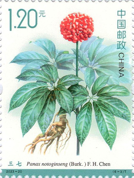 藥用植物（三）