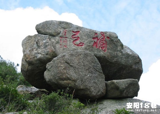 太行黃花山照片