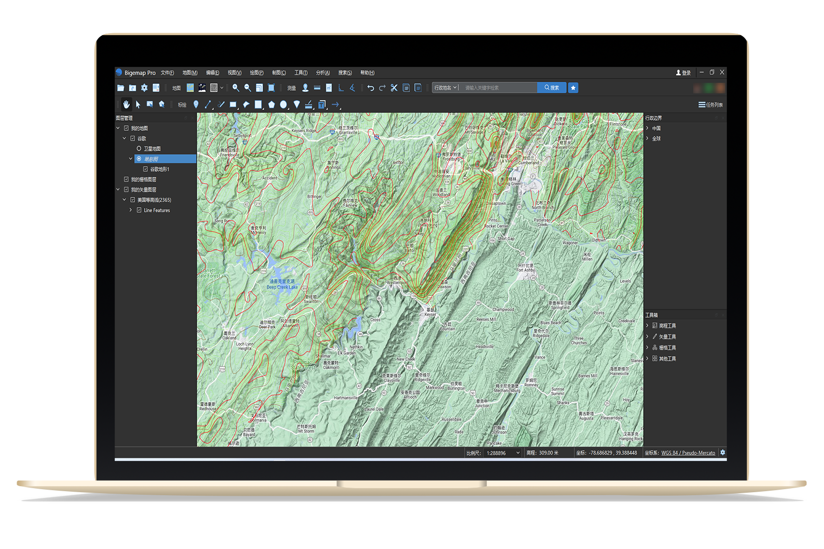 Bigemap Pro