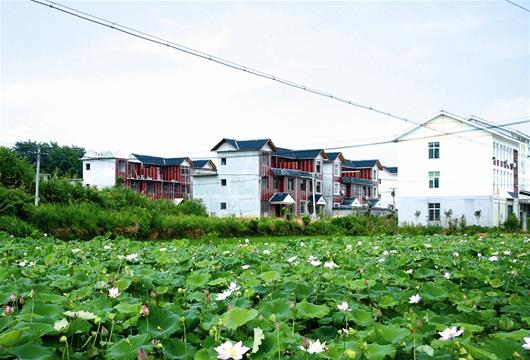 崇陽青山鎮