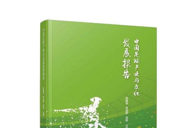 中國足球產業與文化發展報告