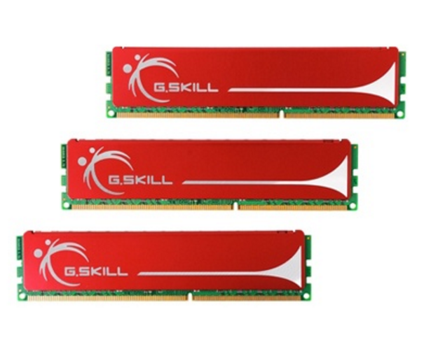 芝奇3GB DDR3 1333(F3-10666CL9T-3GBNQ)