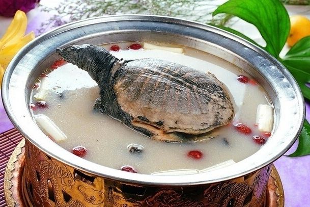 天麻當歸水魚湯