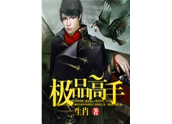 極品高手(生肖所著小說)