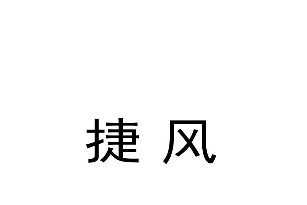 廣東捷風包裝材料有限公司