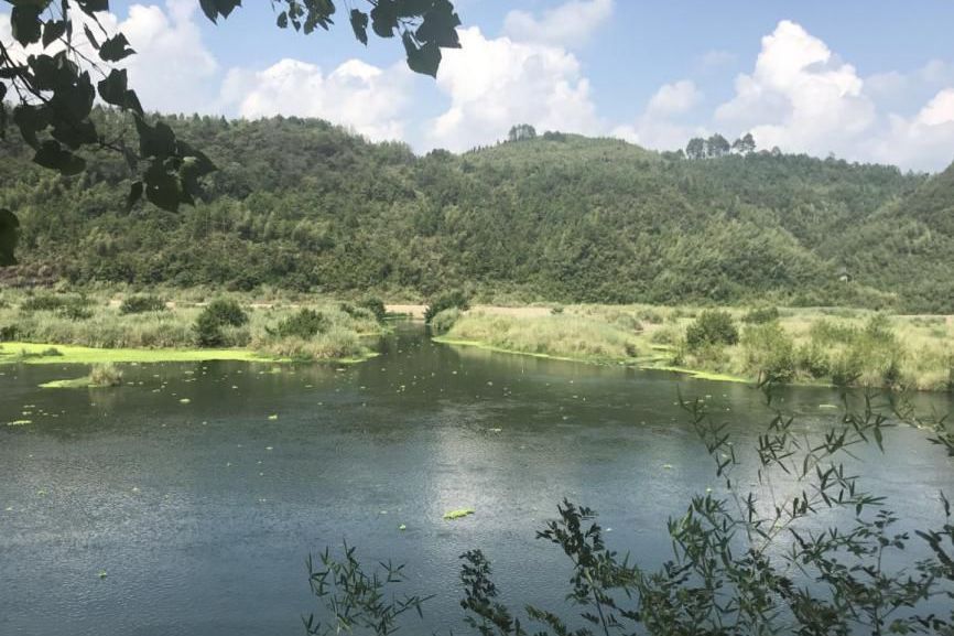 芙蓉江特有魚類國家級水產種質資源保護區