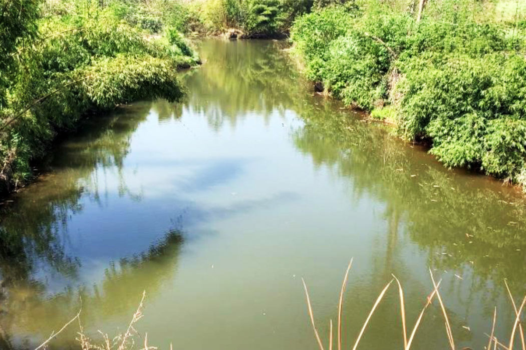 沙溪河(四川省自貢市榮縣境內河流)