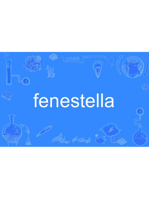 fenestella