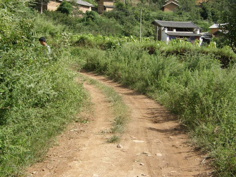 鐘英龍箐村