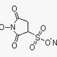 N-羥基硫代琥珀醯亞胺(sulfo-NHS)