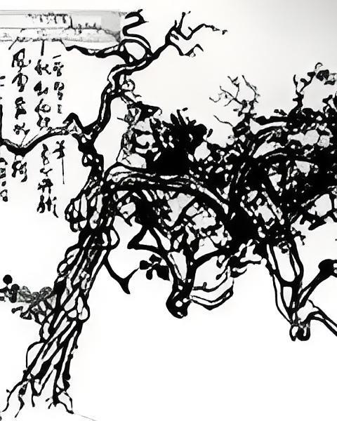 總有那么一天(令銘創作的網路小說)