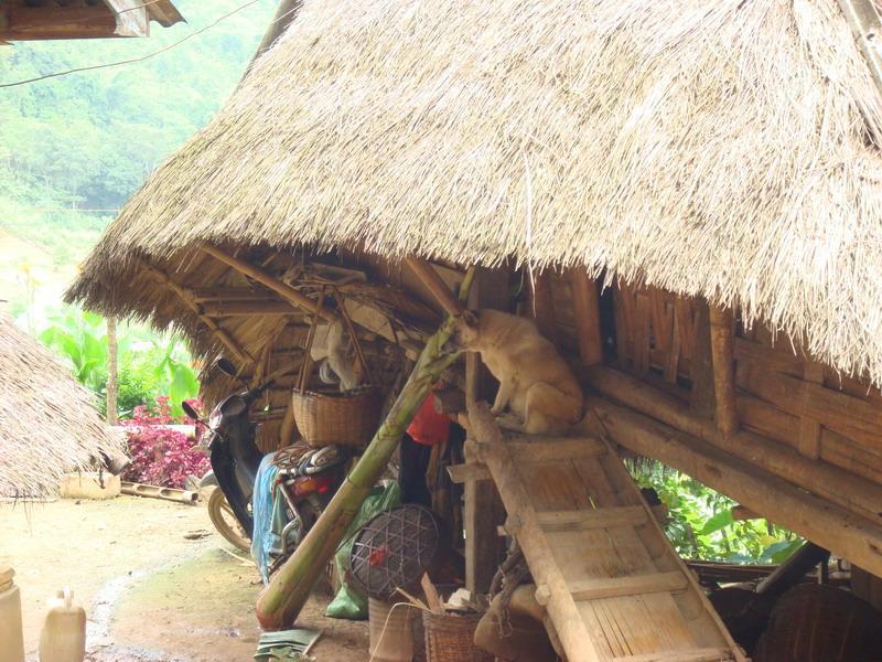 小芒臘新寨村