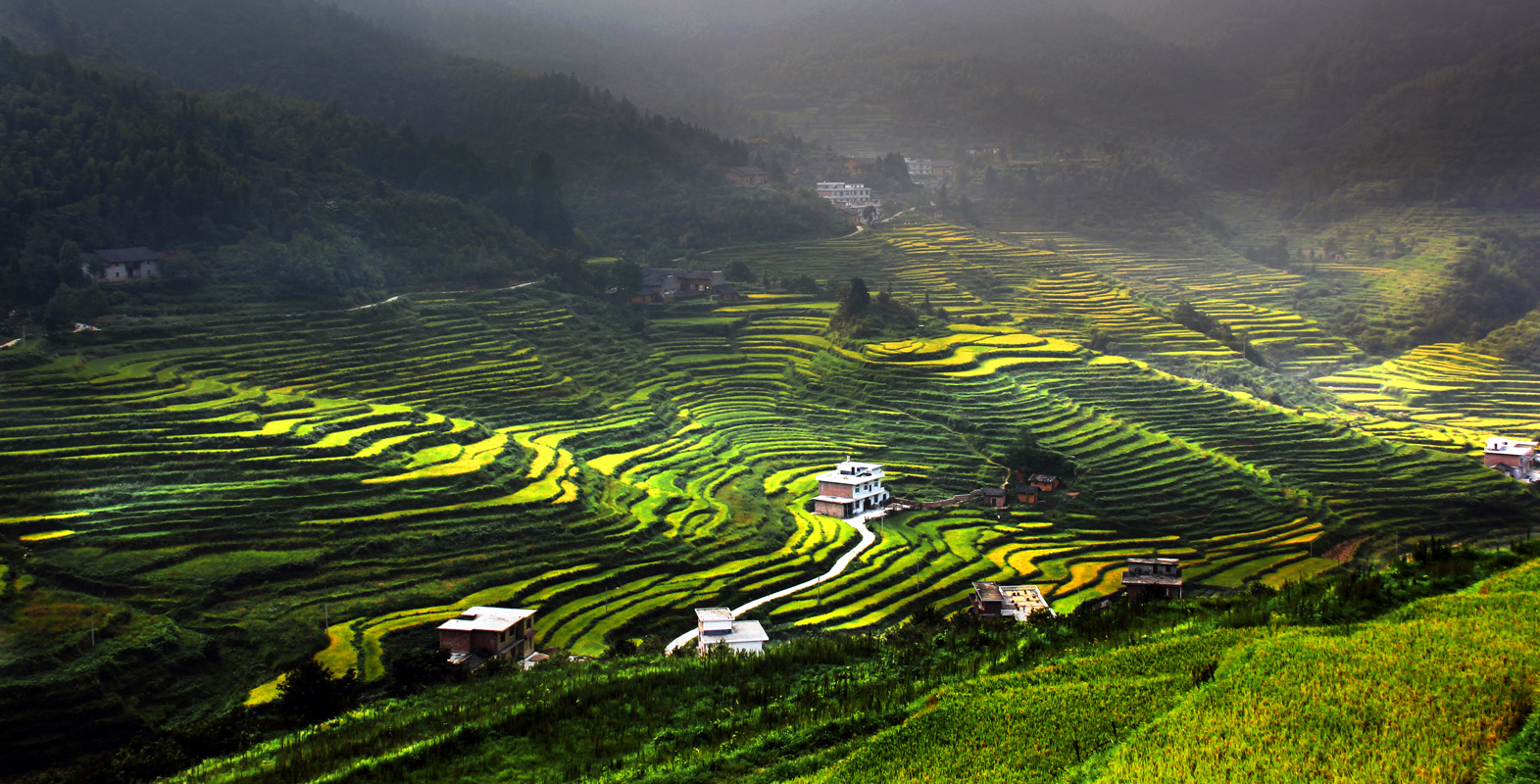 萬龍山鄉