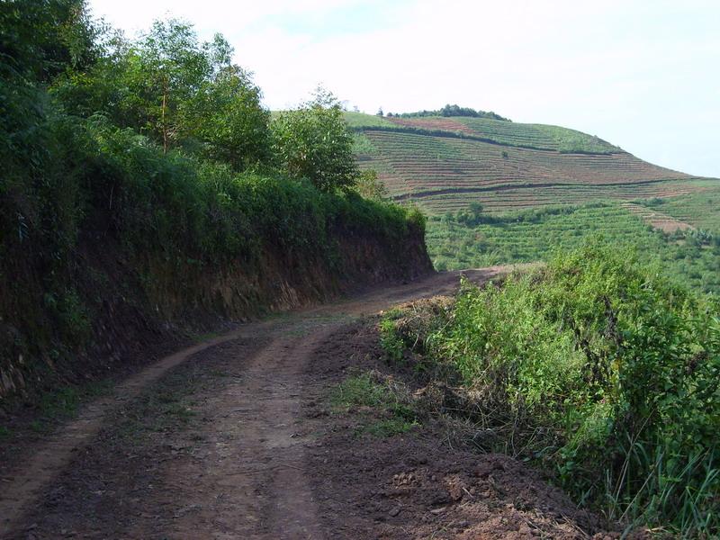 道路