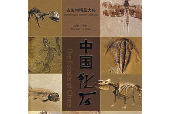 中國化石(2007年中國地質大學出版社出版的圖書)